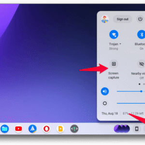 How to Take a Screenshot on a School Chromebook