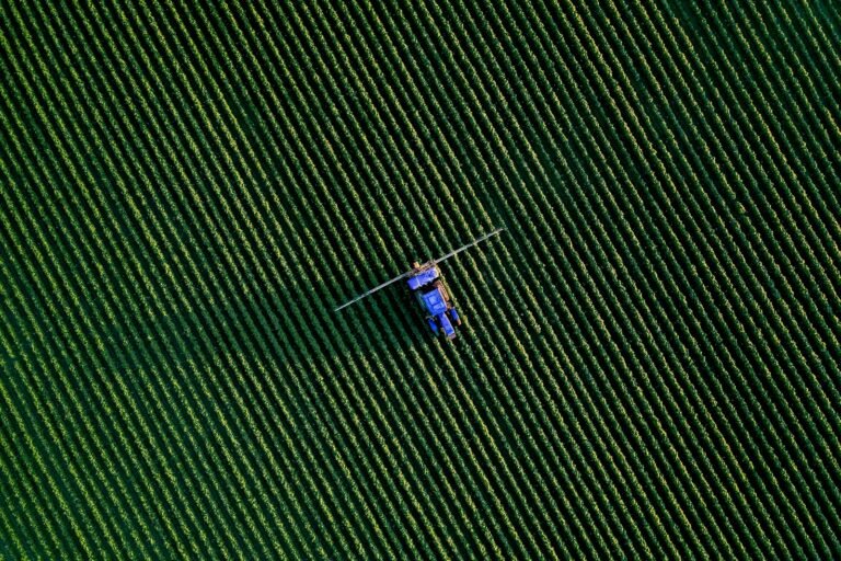 Pesticide Online: A Complete Guide to Choosing the Right Fungicide for Rice